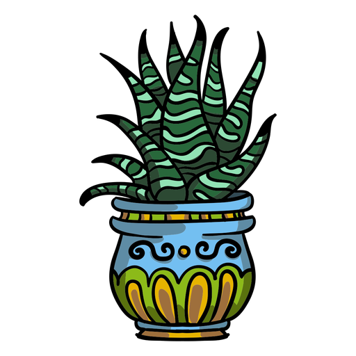 Snake plant pot