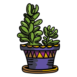 Maceta suculenta Diseño PNG