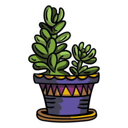 Succulent plant pot Transparent PNG