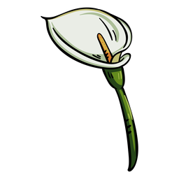 Tropische Blumen Callalilie PNG-Design
