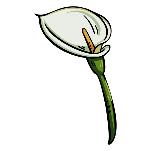 Tropical flower calla lily PNG Design