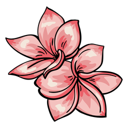 Plumeria de flores tropicales Diseño PNG