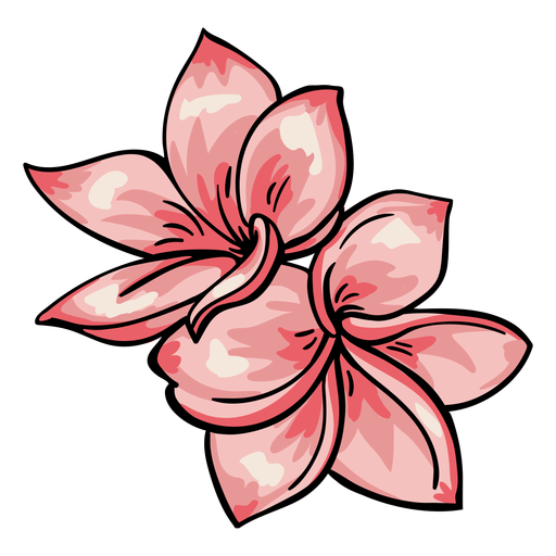 Plumeria de flores tropicais Desenho PNG