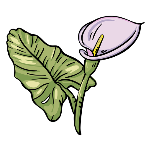 Flor tropical de copo-de-leite roxo Desenho PNG