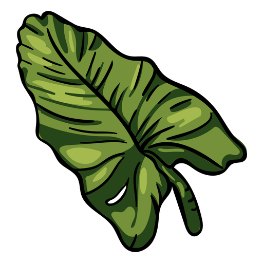 Folha verde tropical Desenho PNG