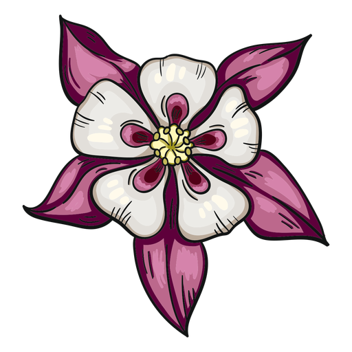 Flor Silvestre Branco Roxo Columbine Desenho PNG