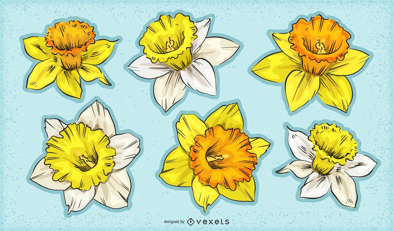 Conjunto de flores de narciso