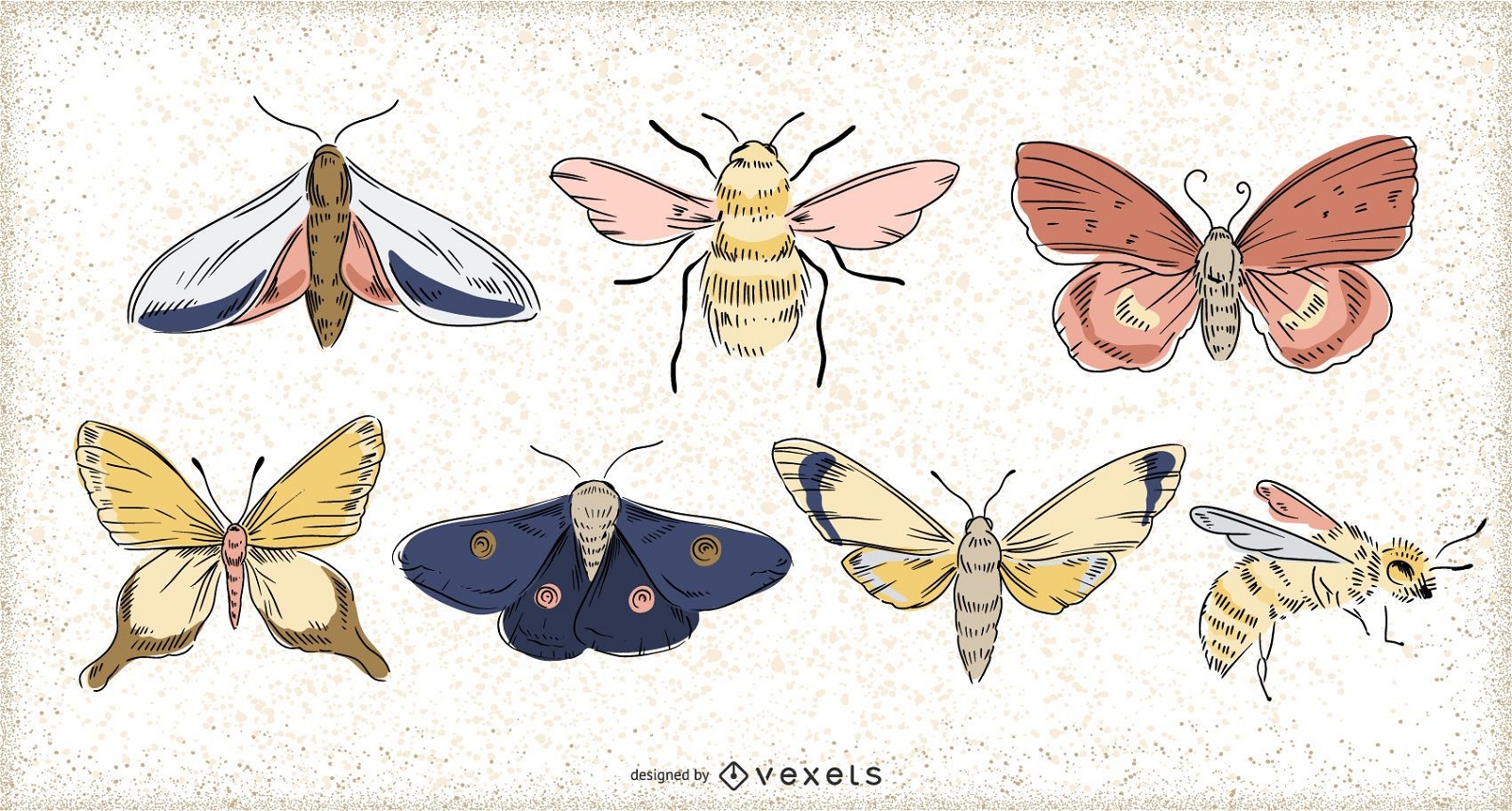Conjunto de ilustración de insectos de primavera