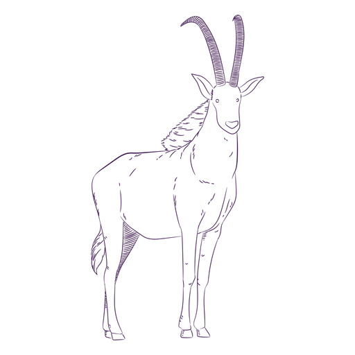 Wild animal antelope hand drawn PNG Design
