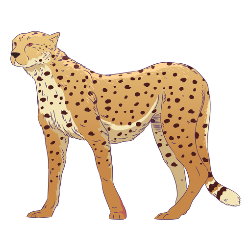 Wild animal cheetah hand drawn colorful PNG Design