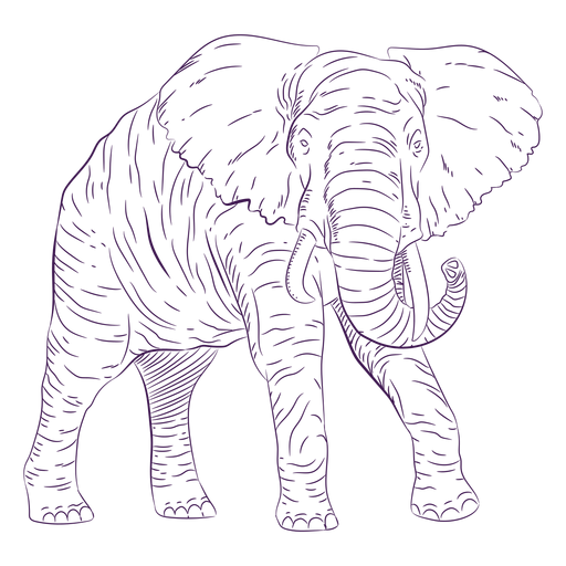 Wild Animal Elephant Hand Drawn Transparent Png Svg Vector File
