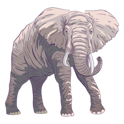 Mão de elefante animal selvagem desenhada colorida