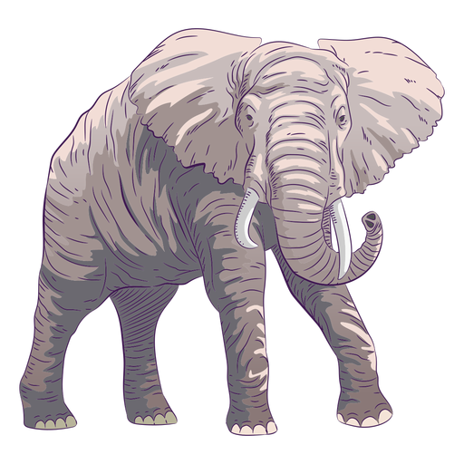 Elefante de animal selvagem desenhado ? m?o colorido Desenho PNG