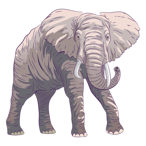 Free Free 236 Transparent Elephant Mandala Svg Free SVG PNG EPS DXF File