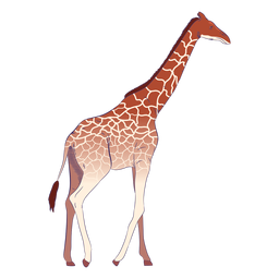 Wild animal giraffe hand drawn colorful Transparent PNG