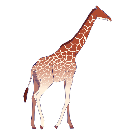 Girafa animal selvagem desenhada ? m?o colorida Desenho PNG