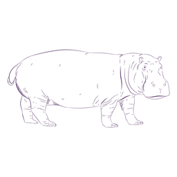 Dibujado a mano animal salvaje hipopótamo