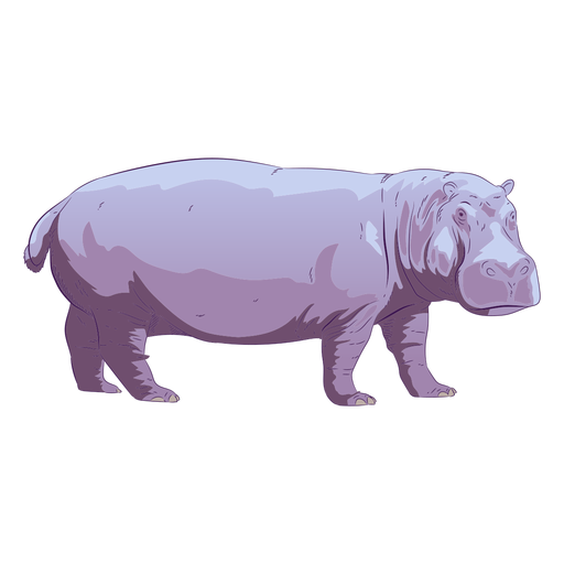 Wild animal hippo hand drawn colorful PNG Design