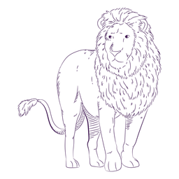 Dibujado a mano león animal salvaje
