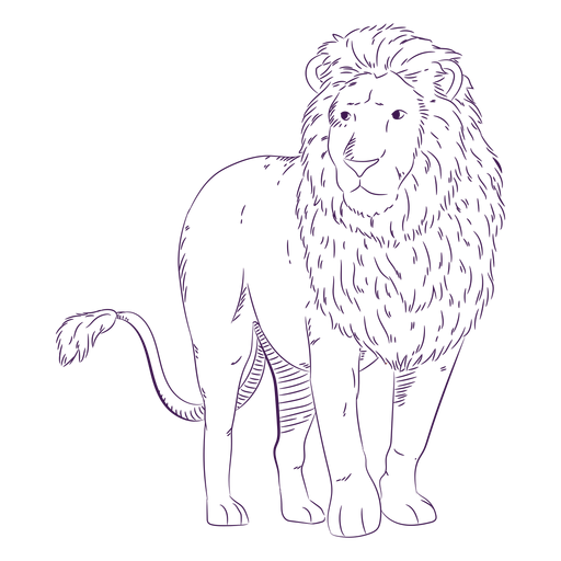 Leão de animal selvagem desenhado à mão Desenho PNG