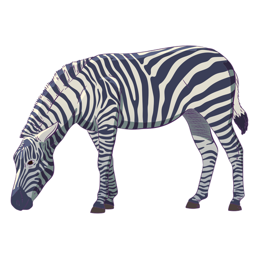 Download Wild Animal Zebra Hand Drawn Colorful Transparent Png Svg Vector File