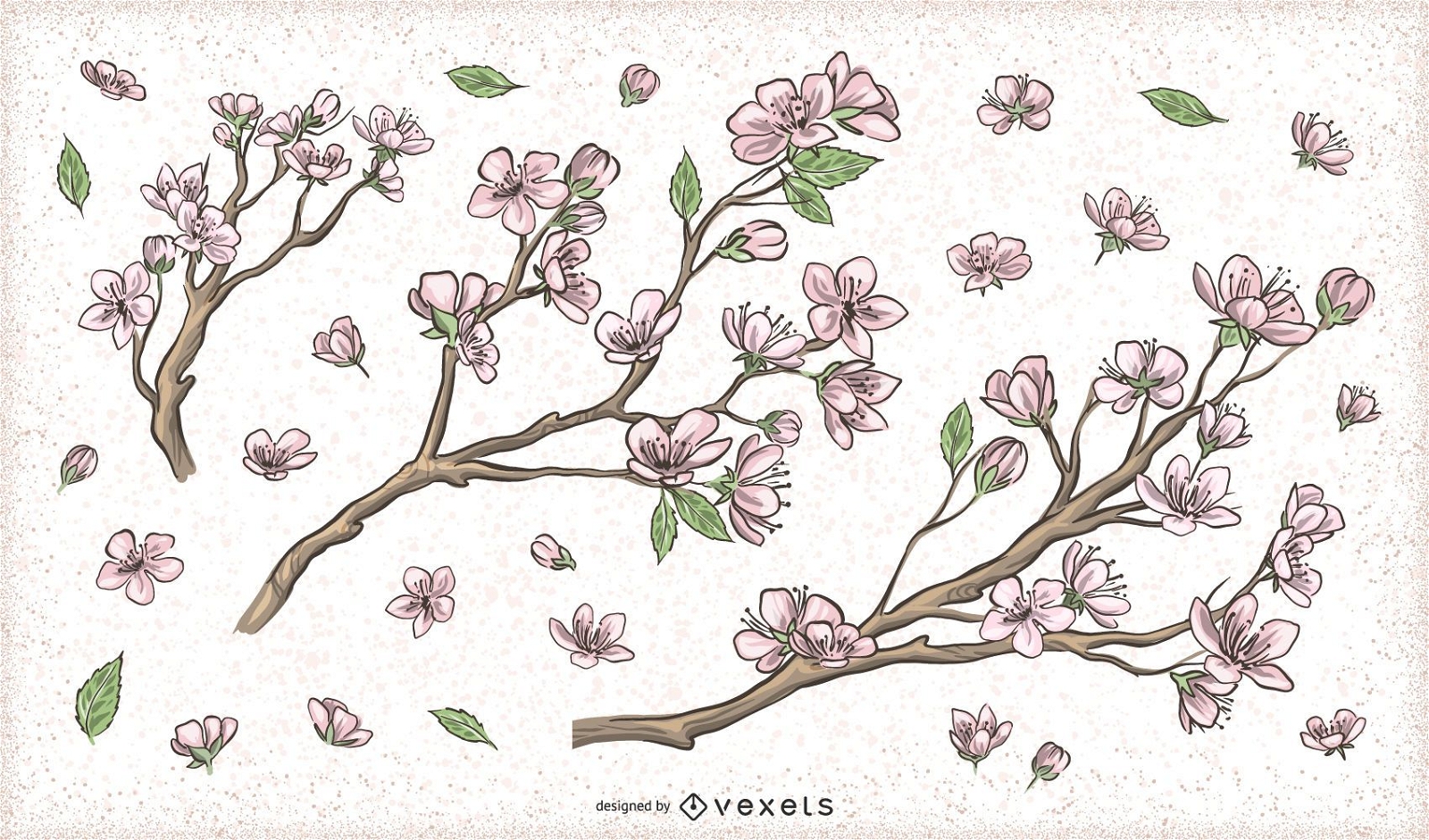 Projetos de galhos de ?rvores de flores em flor de cerejeira