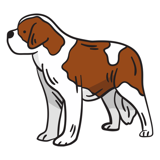 Swiss mountain dog animal illustration