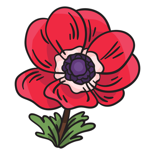 Download Anemone calanit flower illustration - Transparent PNG ...