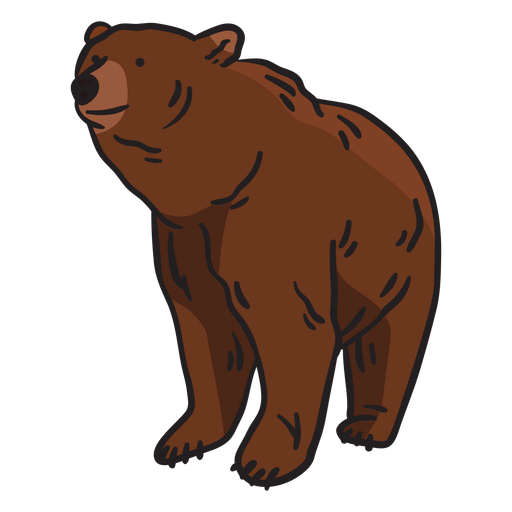 Ilustración de oso marrón animal Diseño PNG