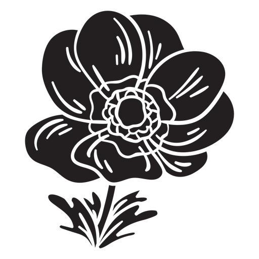 Calanit Anemone Blumenpflanze schwarz PNG-Design