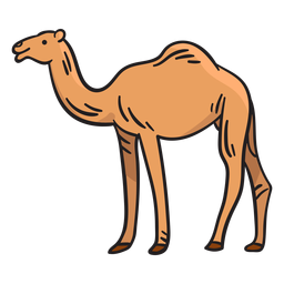 Ilustração animal camelo Desenho PNG Transparent PNG