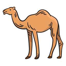 Ilustración de animal camello Diseño PNG