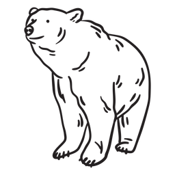 Trazo de oso animal incoloro Trazo de oso animal incoloro