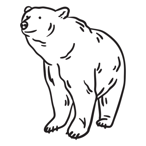 Colorless animal bear stroke PNG Design