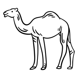 Trazo de joroba de camello animal del desierto Diseño PNG