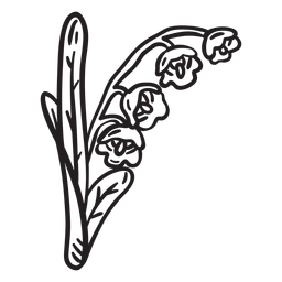 Curso do vale do lírio da flor Desenho PNG