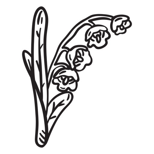 Curso do vale do lírio da flor Desenho PNG