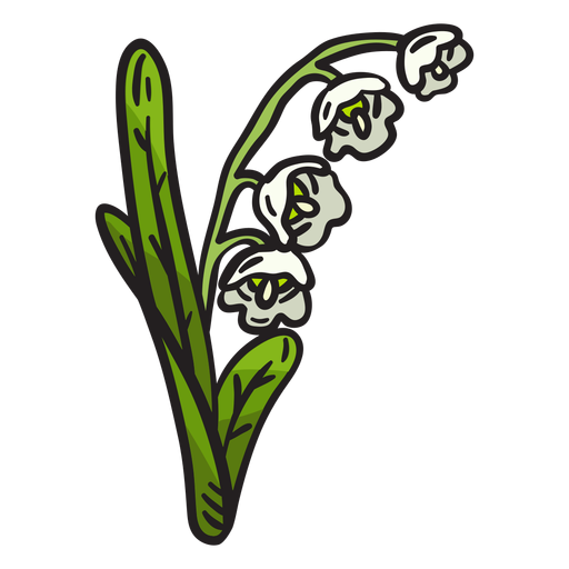 Ilustraci?n de flor de lirio de los valles Diseño PNG