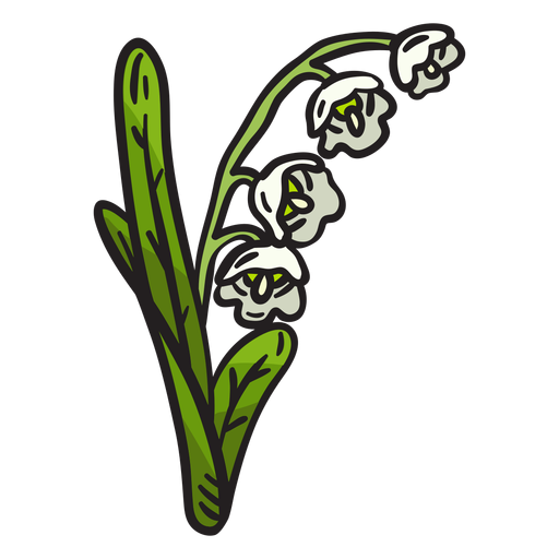 Ilustración de flor de lirio de los valles Diseño PNG