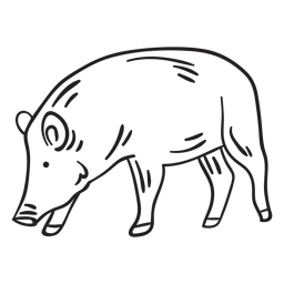Mamífero hocico animal cerdo trazo Diseño PNG