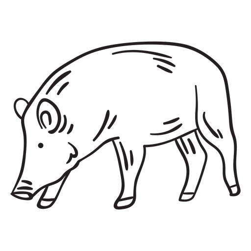 Mammal snout animal pig stroke PNG Design