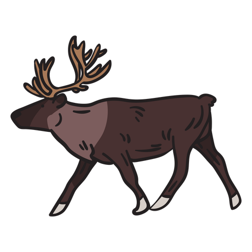 Moose animal antlers illustration
