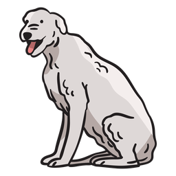 Terrier animal perro irlanda ilustración Transparent PNG