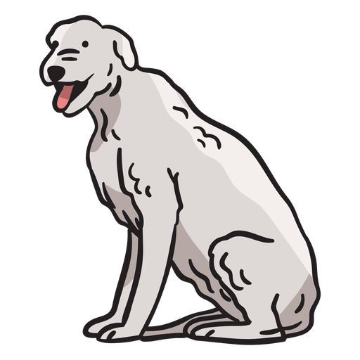 Terrier Tierhund Irland Illustration PNG-Design