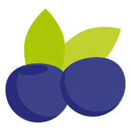 Plano de fruta de arándano Diseño PNG