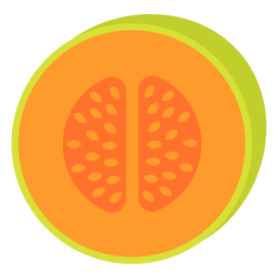 Cantaloupe fruit flat Cantaloupe fruit flat