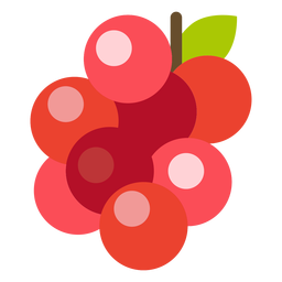 Cranberries fruit flat Desenho PNG