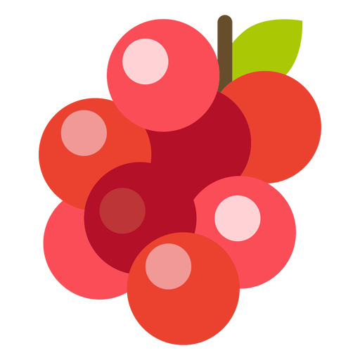 Cranberries fruit flat PNG Design