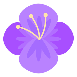 Four petal flower purple flat Four petal flower purple flat