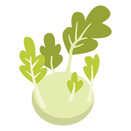 Colinabo vegetal plano Diseño PNG